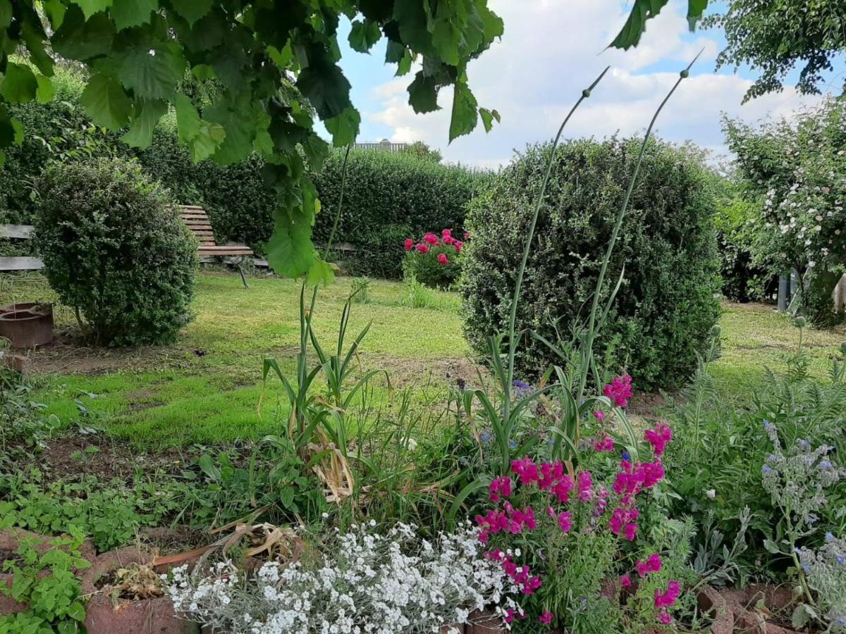Idyllisches Haus Franken 125 M2, Garten